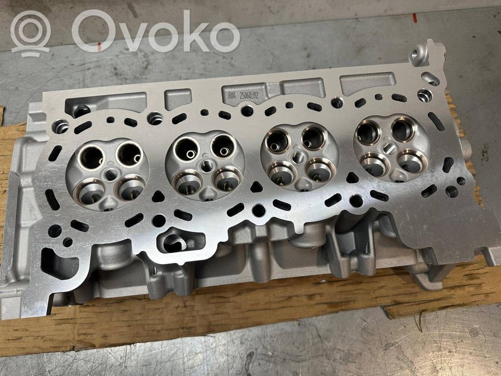 Nissan Juke I F15 Engine head 