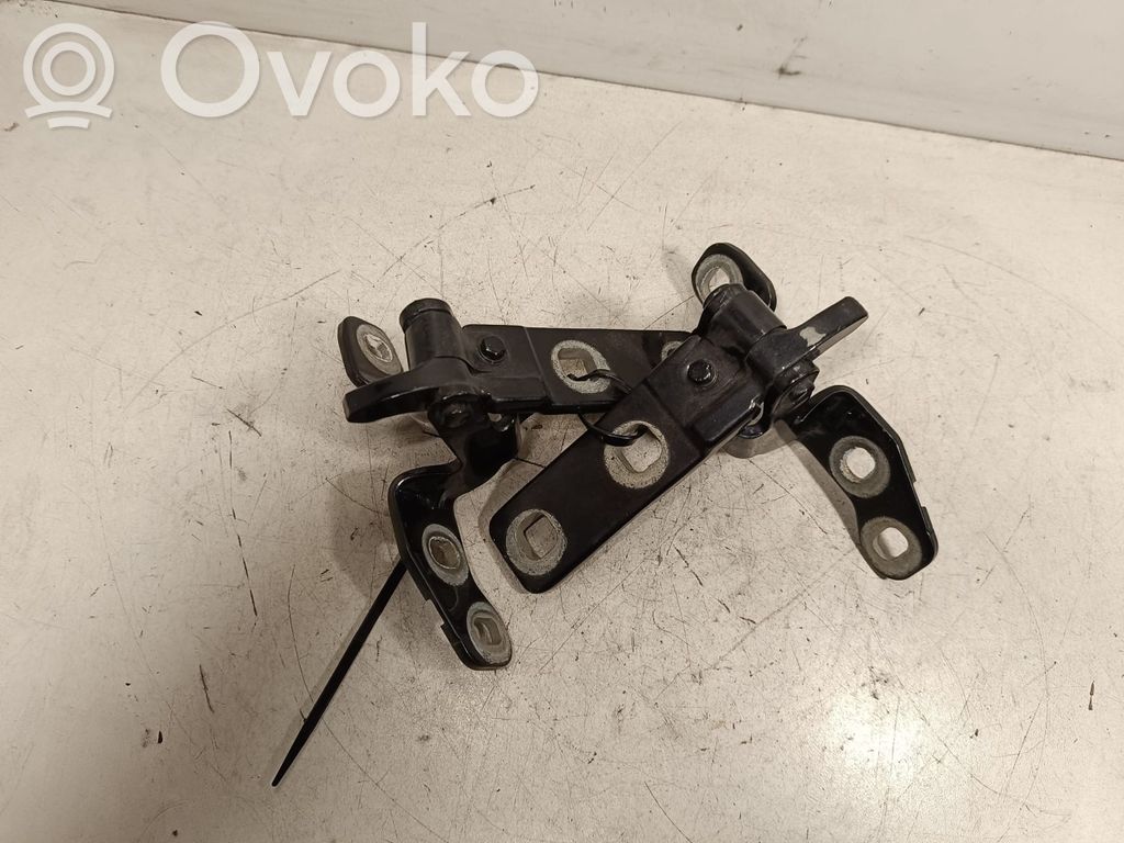 BMW X5 E70 Tailgate/trunk/boot hinge 