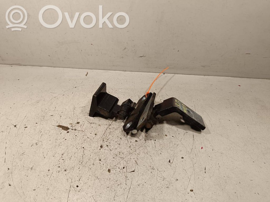 BMW X6 E71 Rear door hinge set 