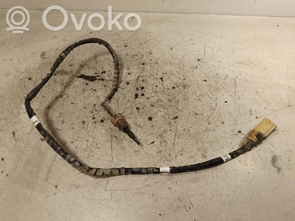 Volkswagen Amarok Exhaust gas temperature sensor 