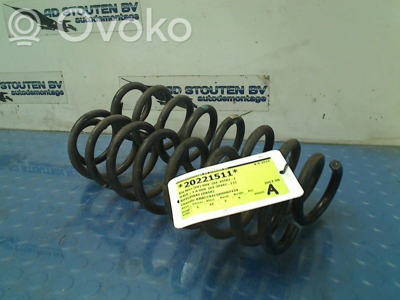 Muelle espiral trasero