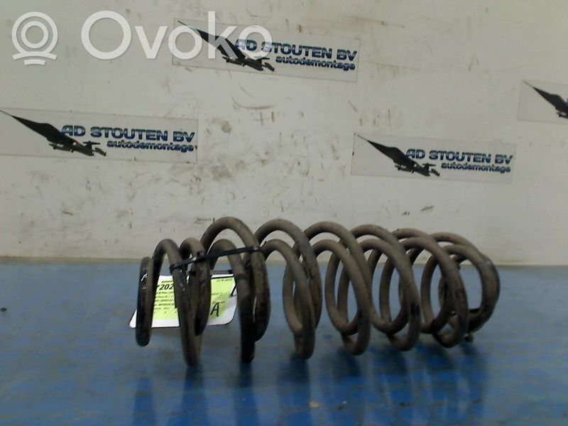 Rear coil spring
