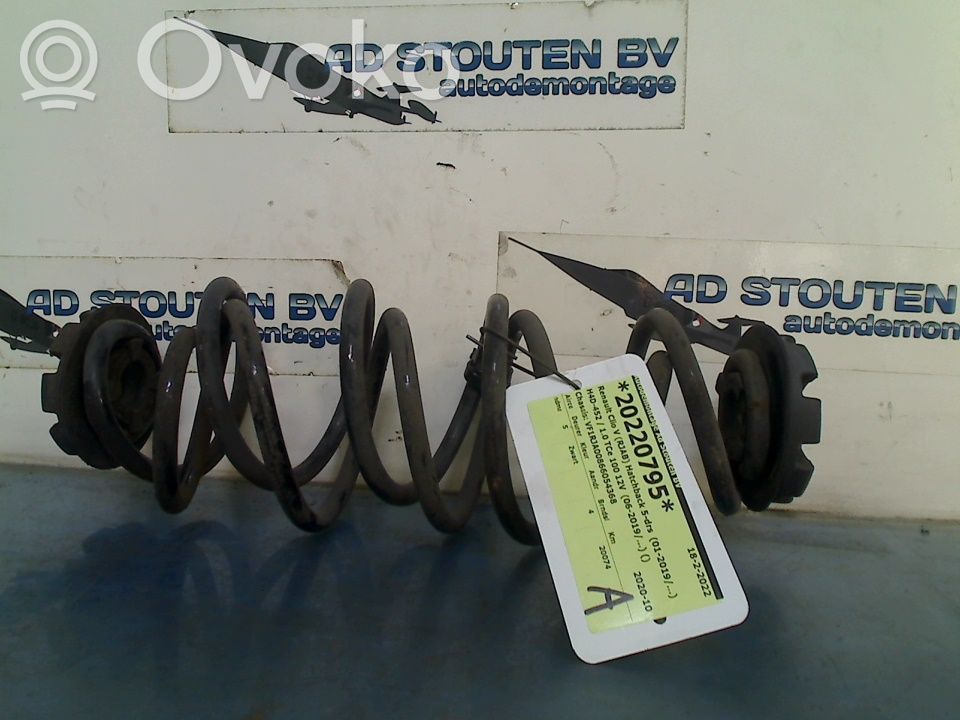 Rear coil spring