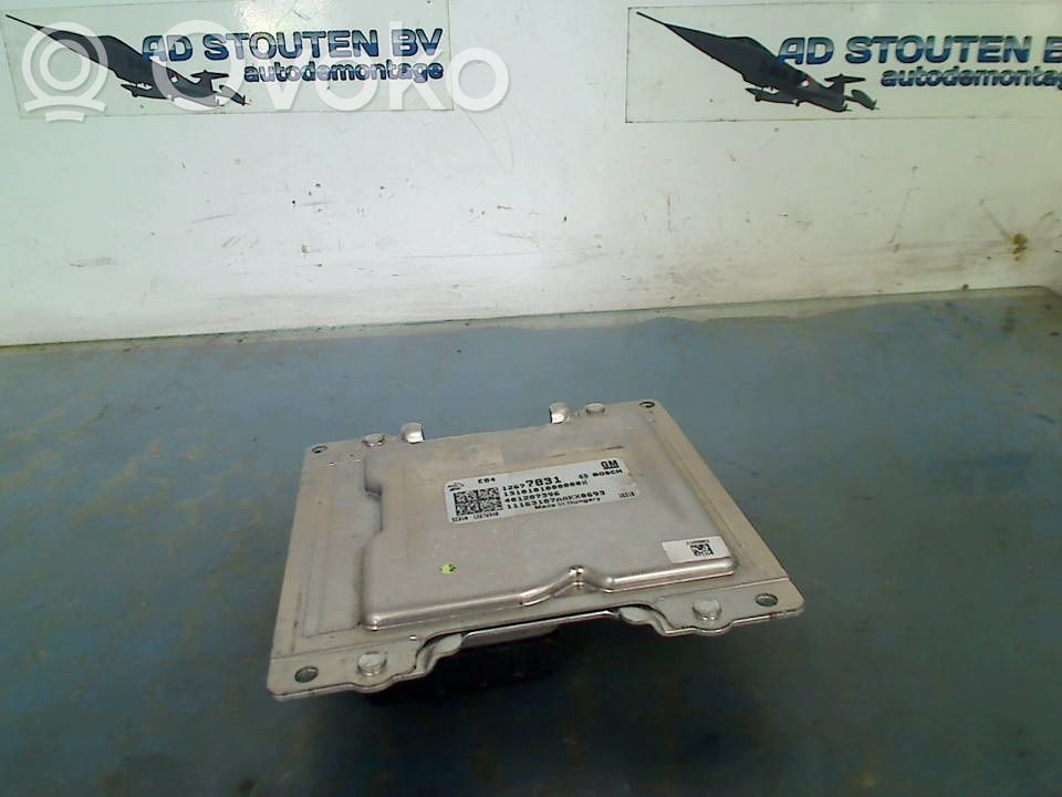 Engine control unit/module   401287396,401287396,401287396