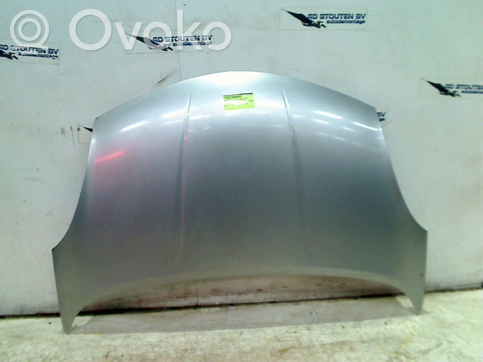 Engine bonnet/hood