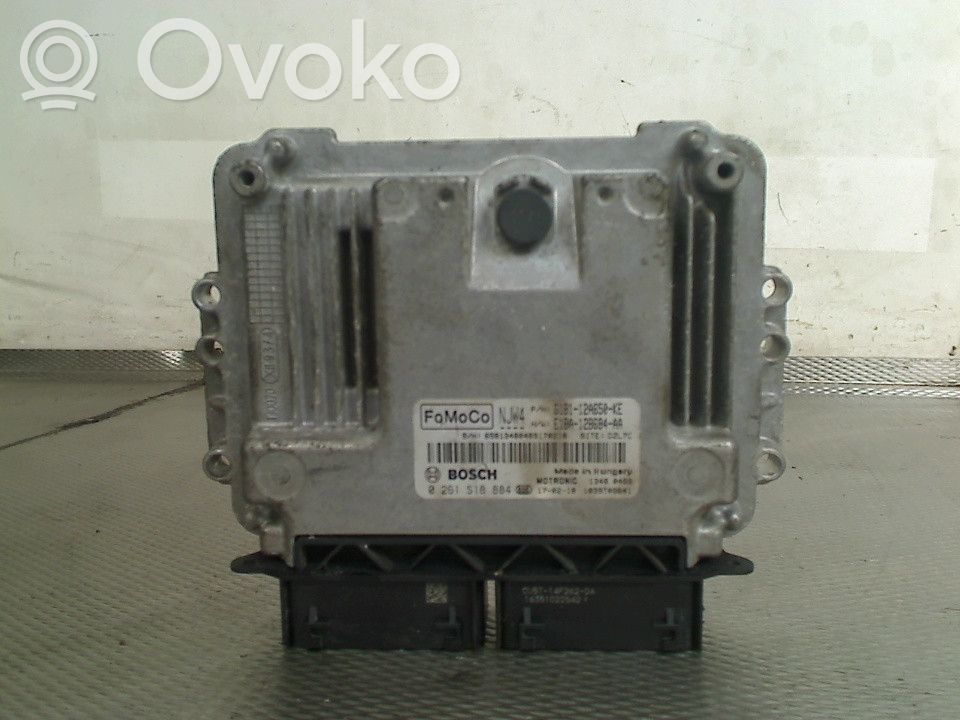 Ford Fiesta Centralina/modulo del motore 