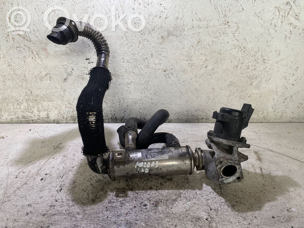 Peugeot 3008 I EGR aušintuvas 