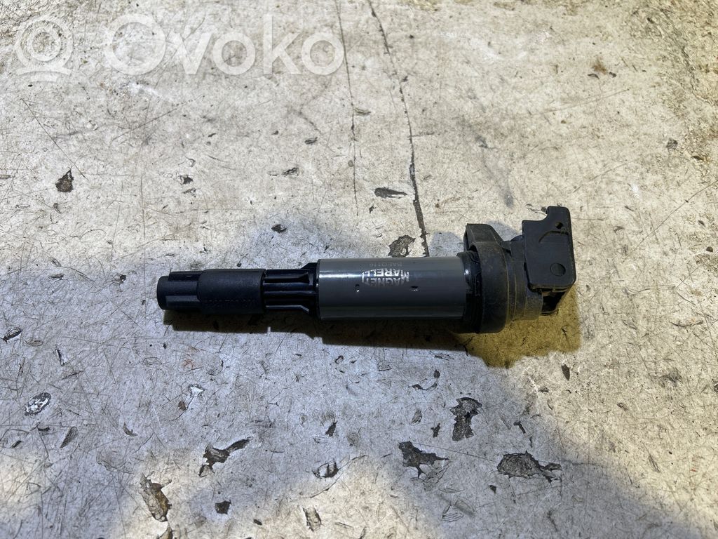 BMW 7 E65 E66 Aukštos įtampos ritė "babyna" 