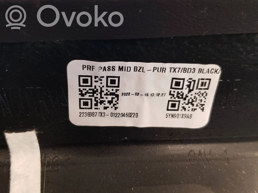 Dodge RAM Panel trim 
