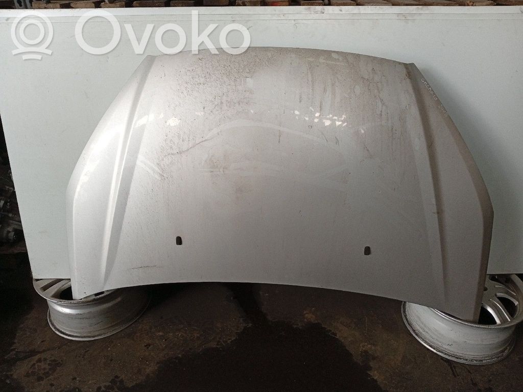 Engine bonnet/hood