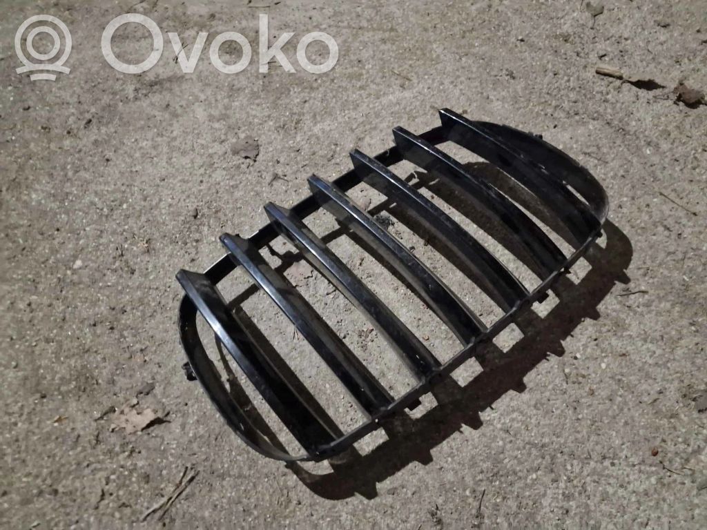 BMW X5 E70 Front bumper upper radiator grill 