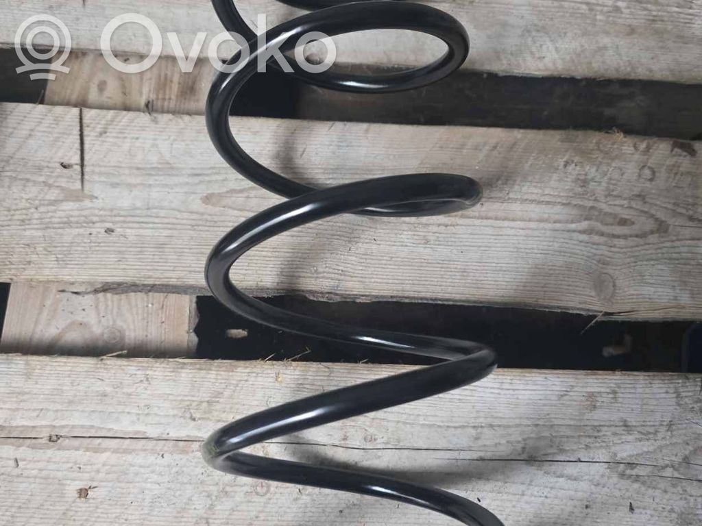 Front coil spring