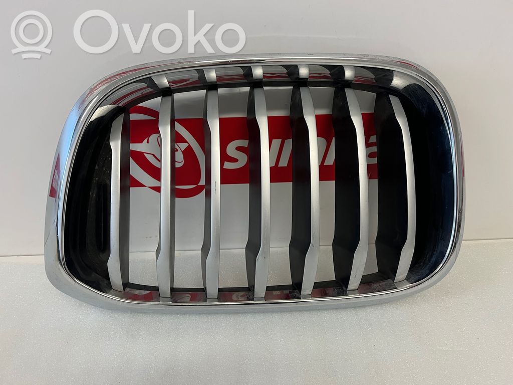 BMW X3 G01 Front grill 