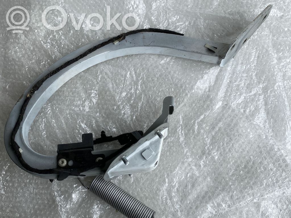 Tailgate/trunk/boot hinge   GX73430B57AD