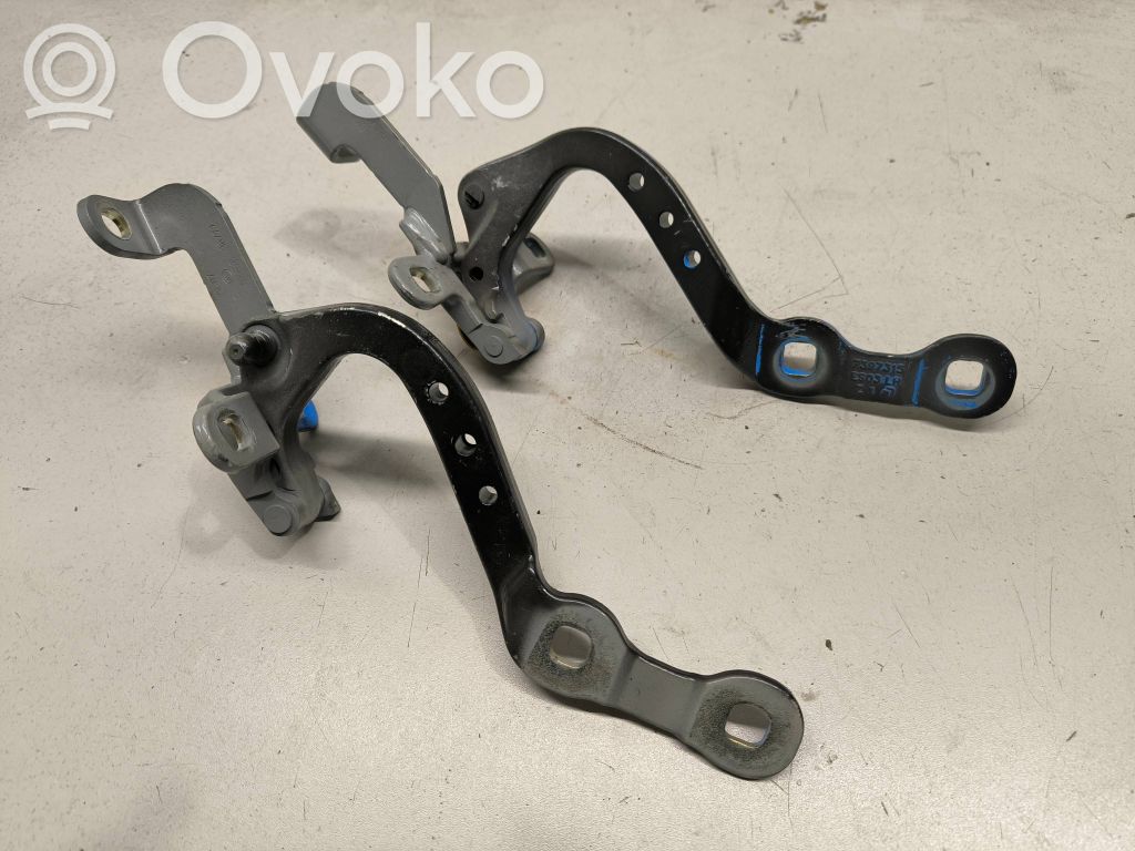 Tailgate/trunk/boot hinge   7397315,7397316