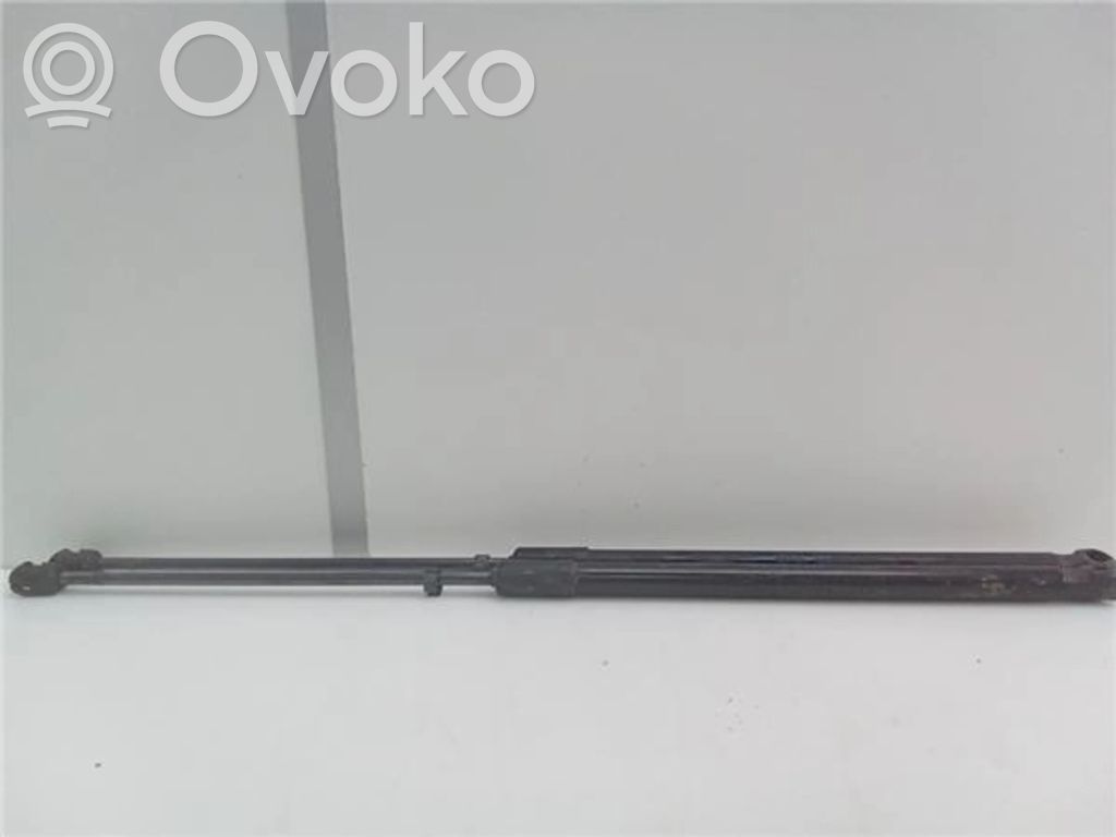 Tailgate/trunk strut/damper   81A827552B