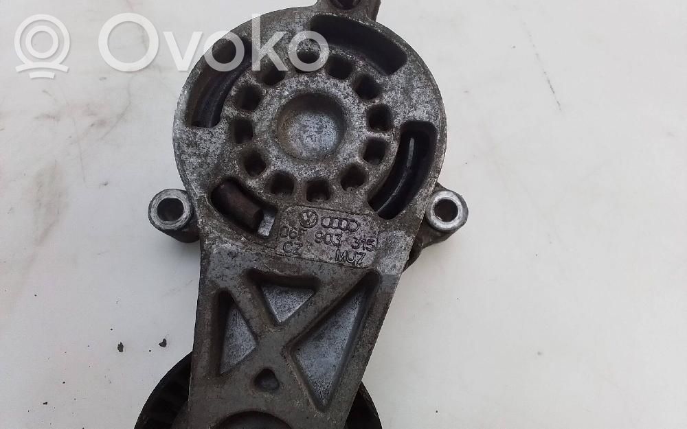 Tensor de correa del alternador   06F903315