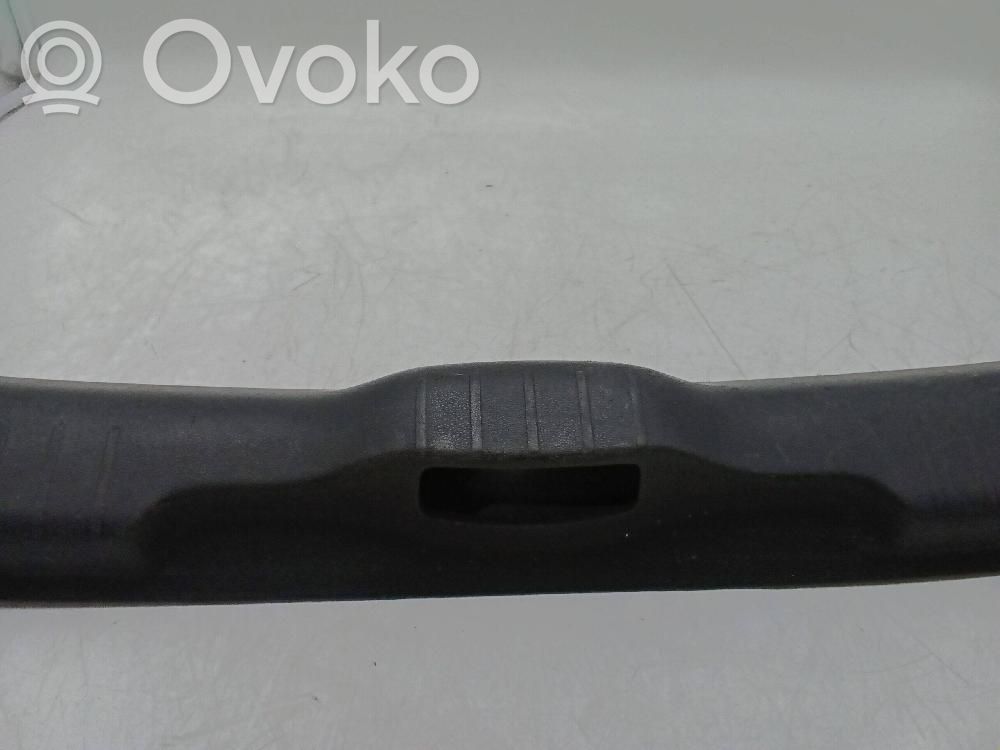Moldura de la puerta trasera   101009A0