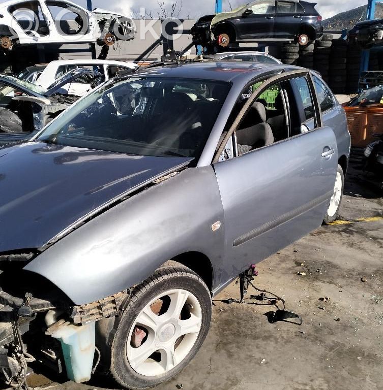 Seat Ibiza III (6L) Portiera anteriore 