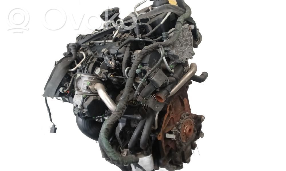 Motor   CBB