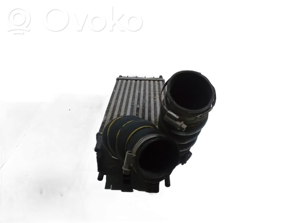 Radiador intercooler   0384N9