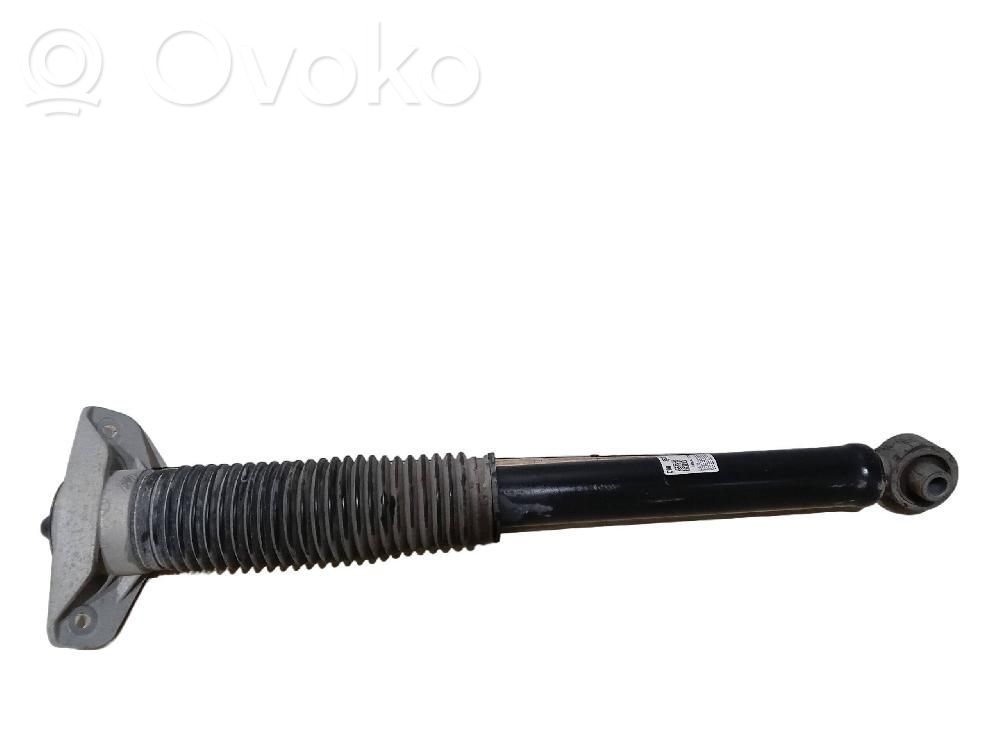 Amortizor spate   55300R2000