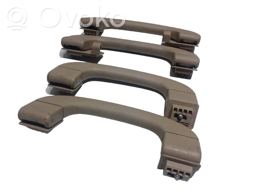 Asidero interior delantero   7033659