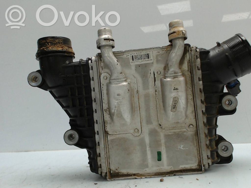 Jaguar XE Kita variklio detalė