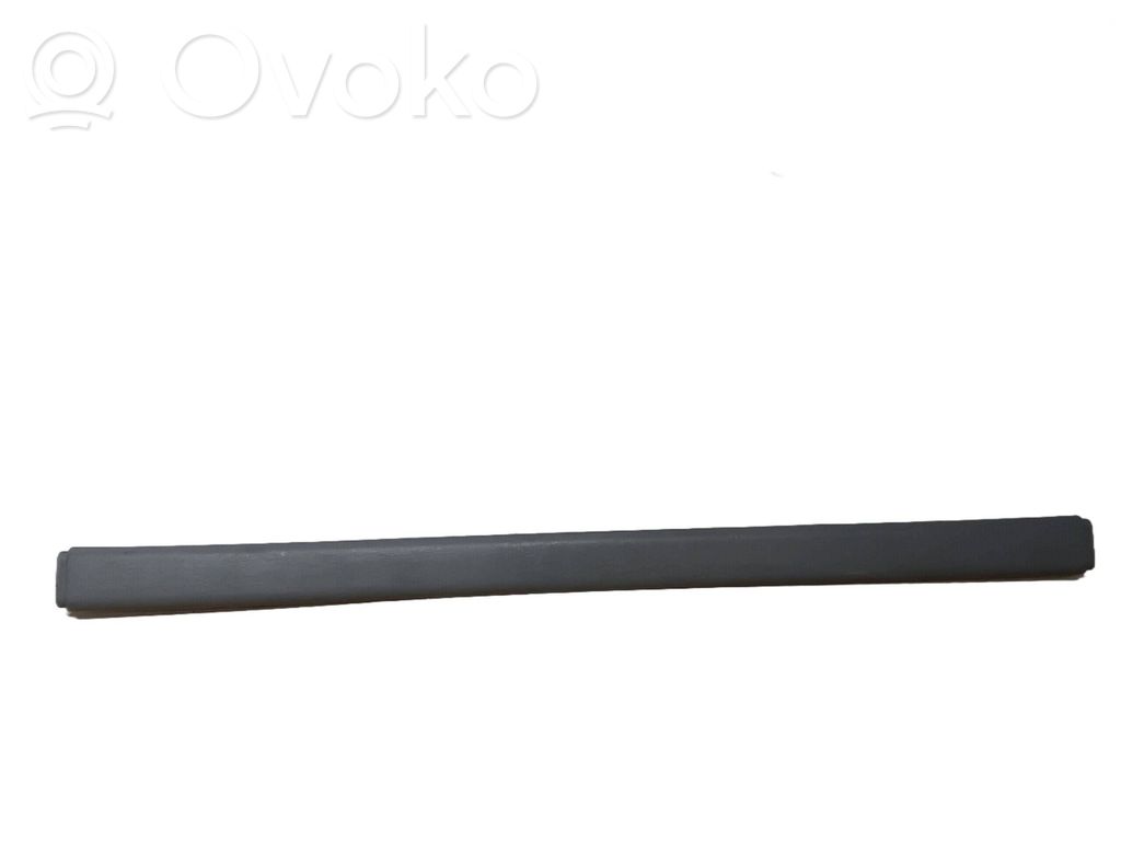 Opel Vivaro Dachhimmel 