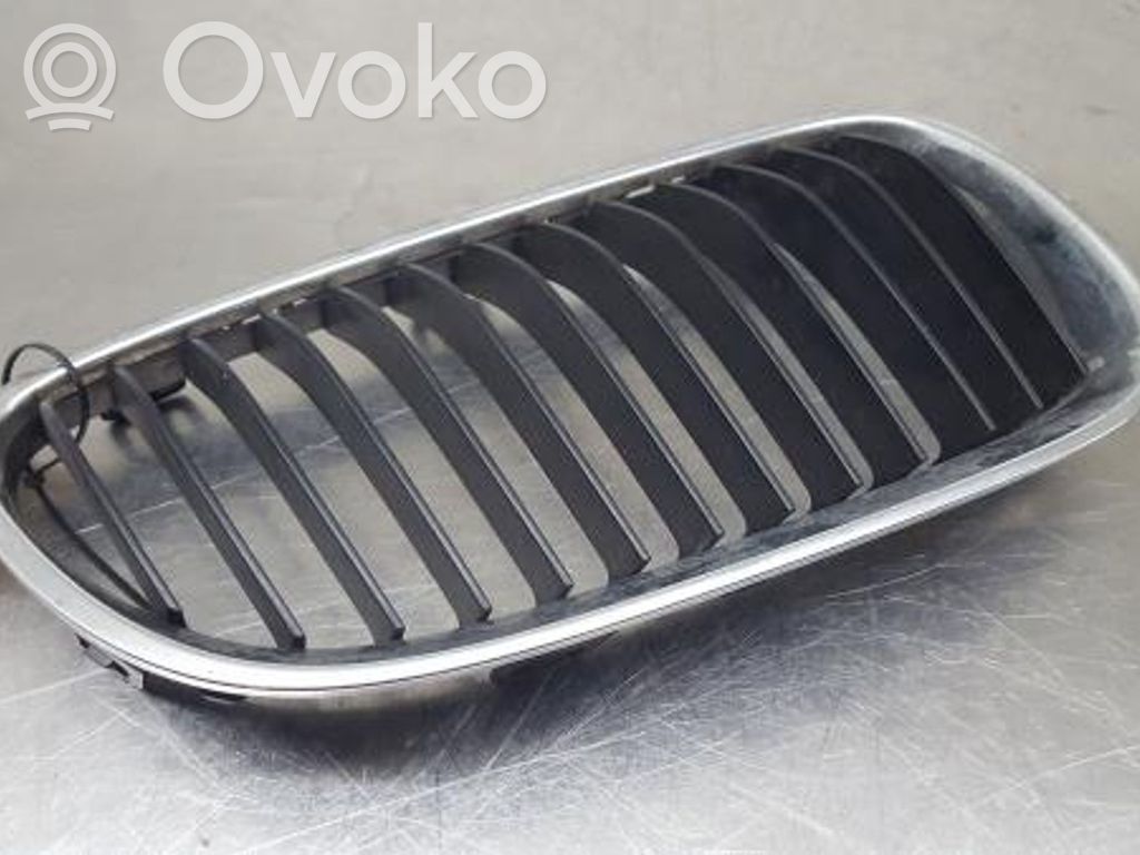 BMW 3 E92 E93 Front grill 