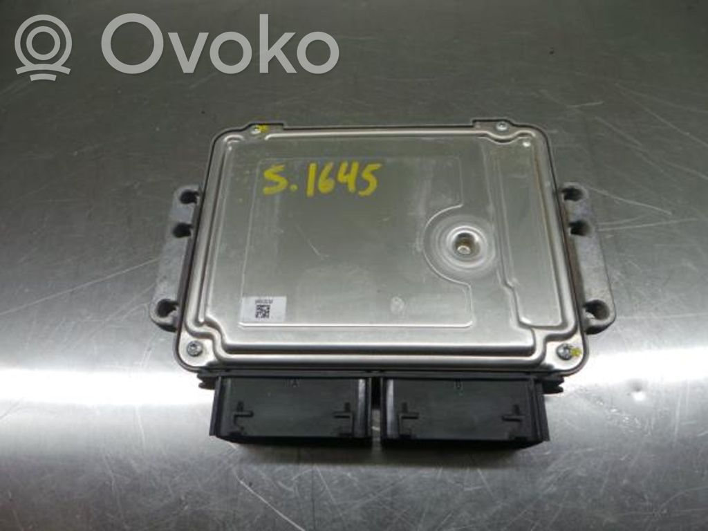 Engine control unit/module   F1B112A650,E1BA12B684