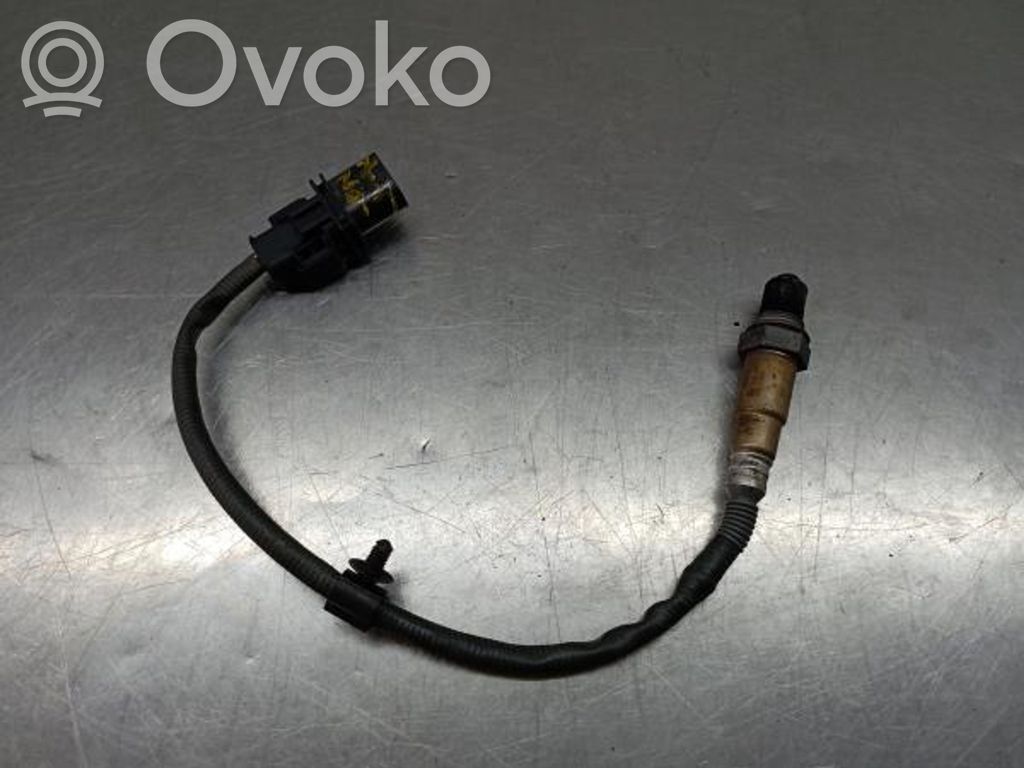Lambda probe sensor   55577162,0281004186