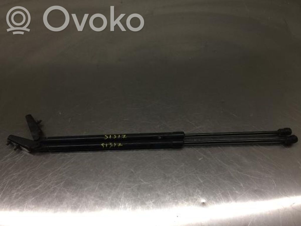 Tailgate/trunk strut/damper   PARDEAMORTECDORES