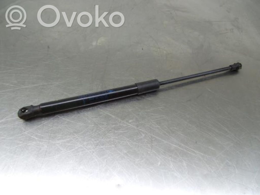 Tailgate/trunk strut/damper   904514584R,3147940565N