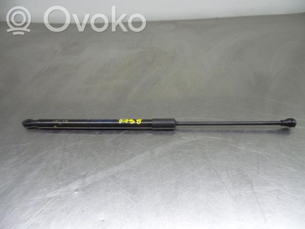 Tailgate/trunk strut/damper   904508213R