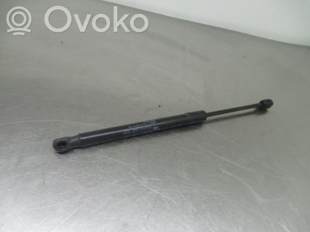 Tailgate/trunk strut/damper   904520004R