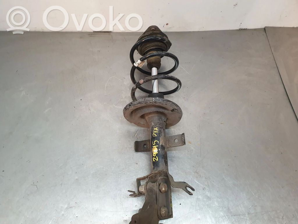 Stoßdämpfer vorne   543020808R