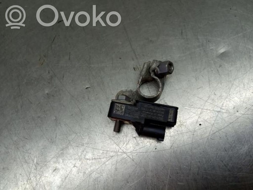 Battery control module   9827759980,BORNENEGATIVO