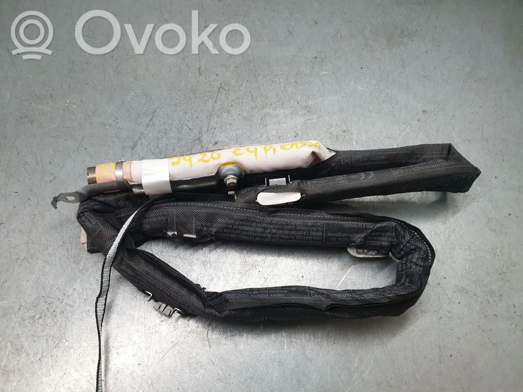 Airbag del techo   9800483180,34127185C