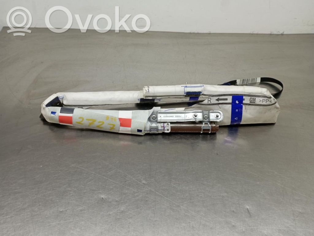 Airbag del techo   39045978,367416257,4770201000000R