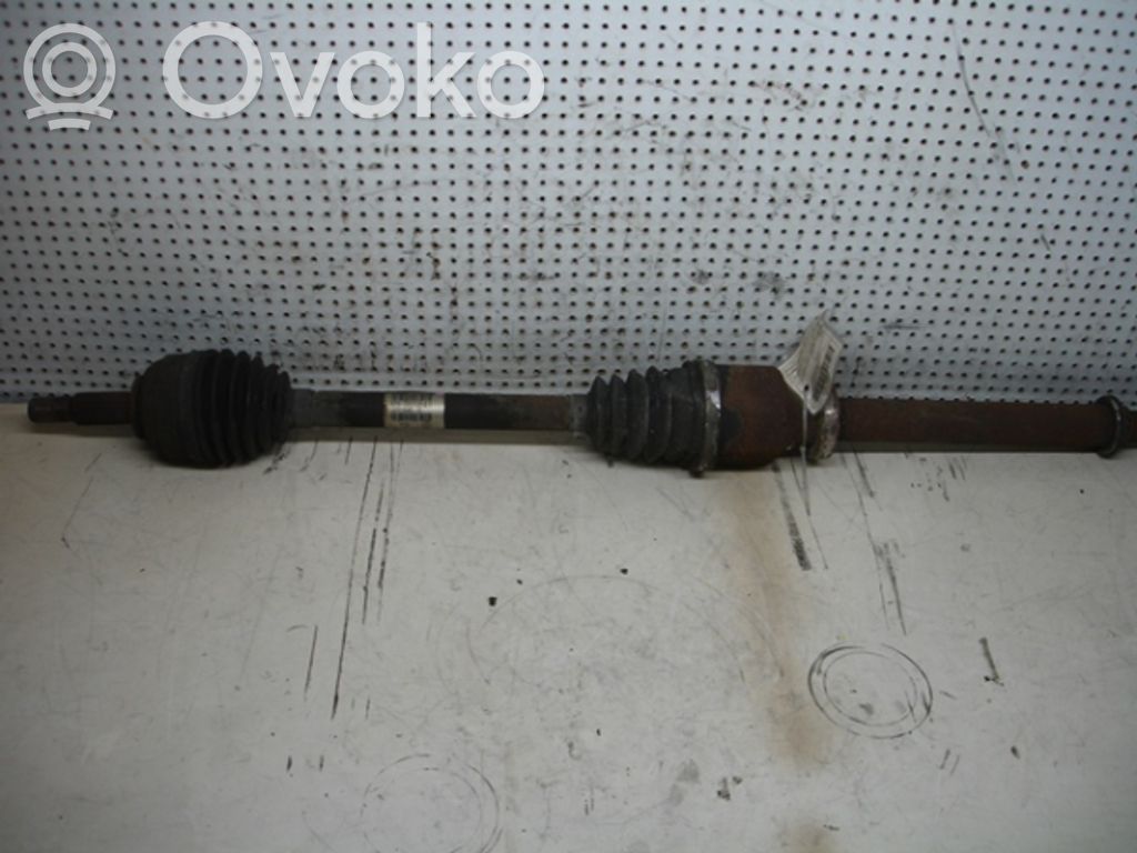 Priekšējā pusass   8200261841