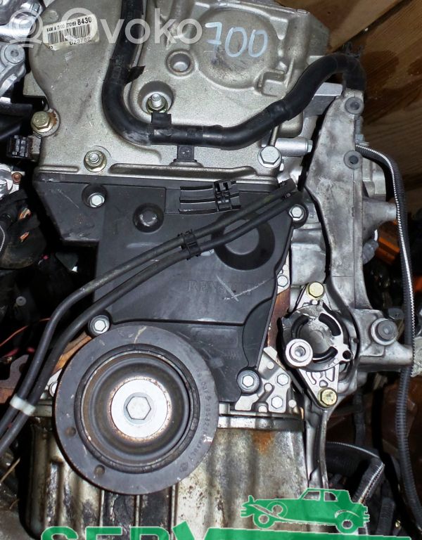 Dzinējs   K4M700,D023762,INFODEKM