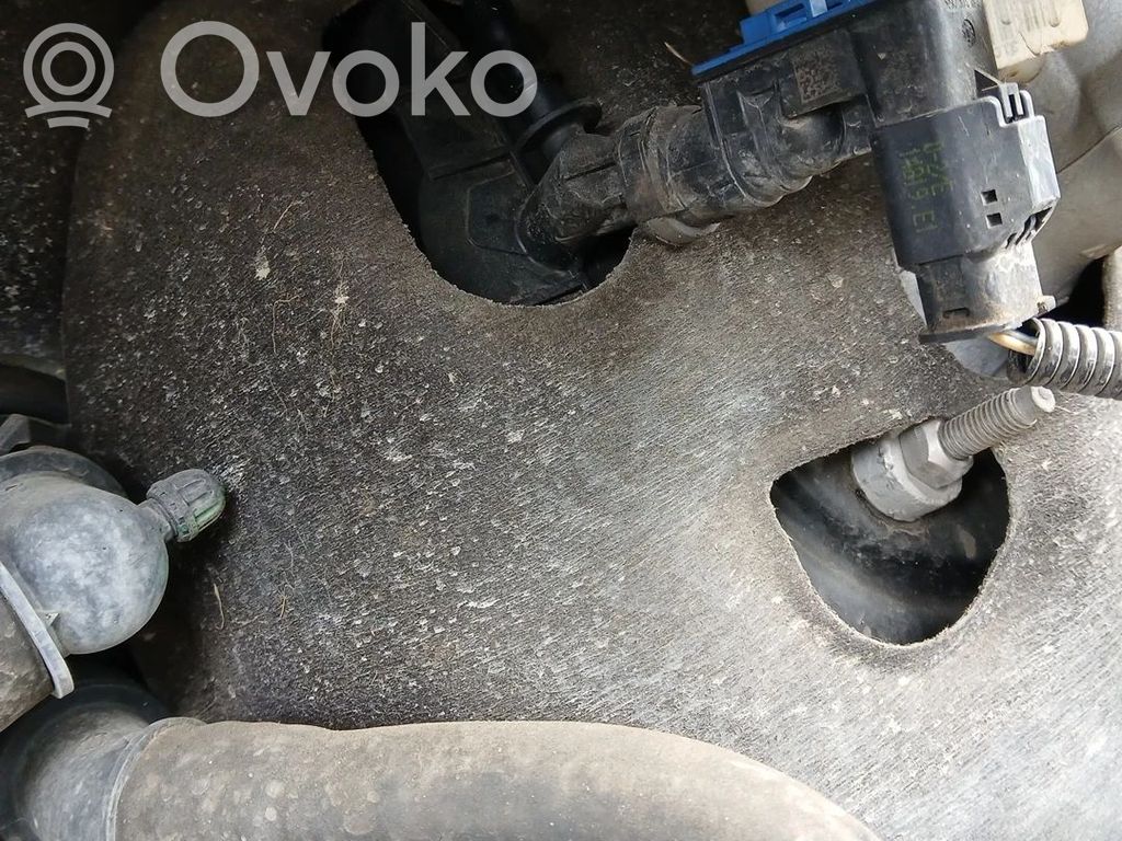 Peugeot 208 I Servofreno