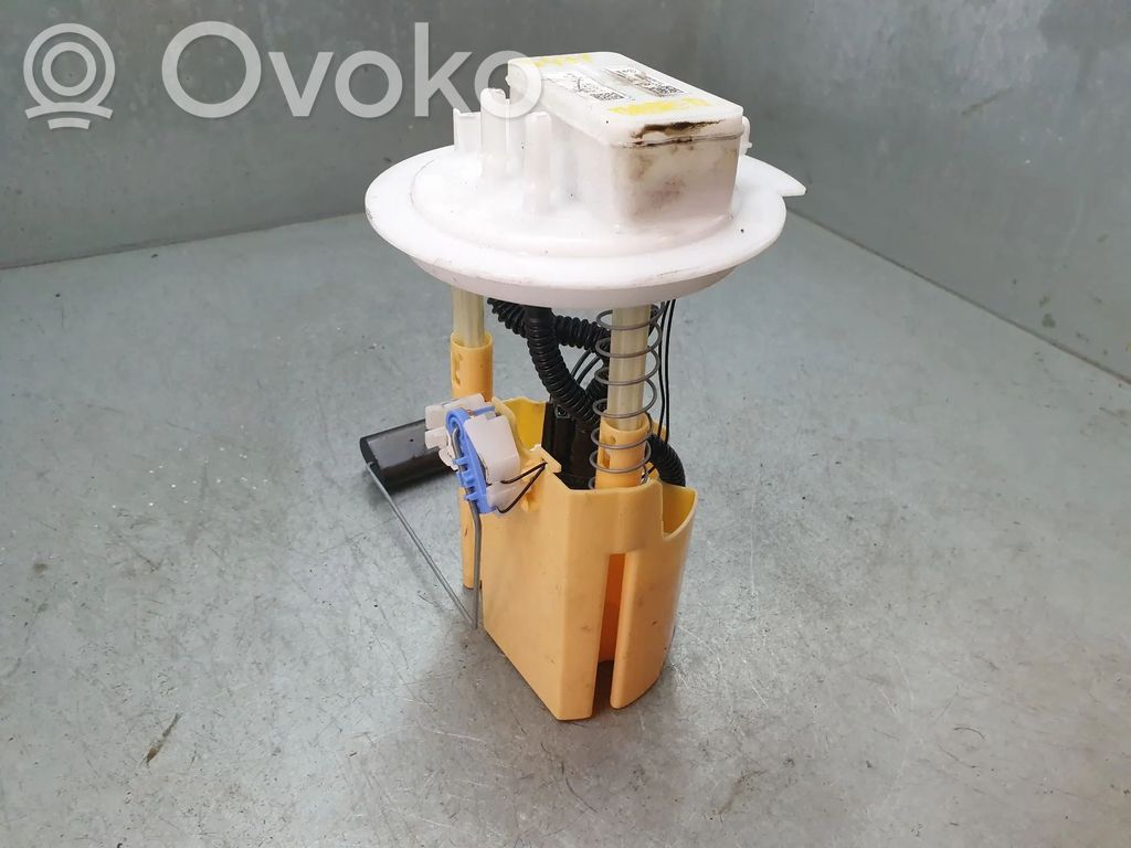 Bomba interna de combustible   250602453R