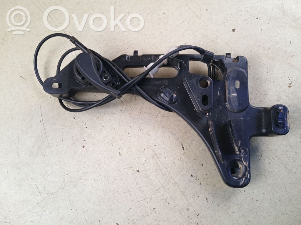 Tie down hook / loop   241388280R