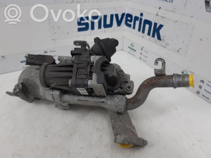 Peugeot Partner EGR valve 