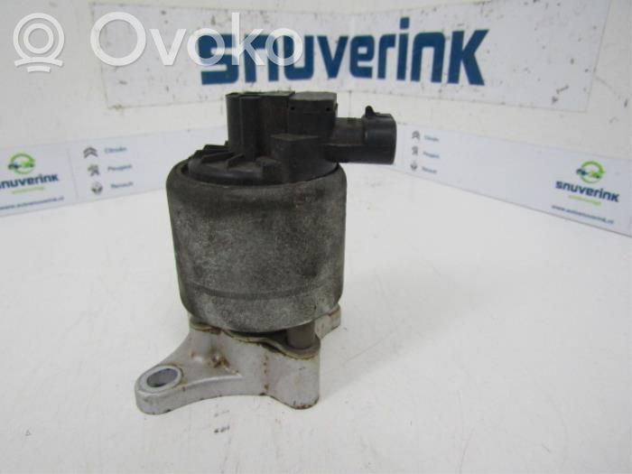 Citroen C5 Válvula EGR 