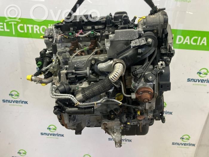 Variklis   0135RG,0135SW,0139WX,0139XC,9666006580,9804788080,CV6Q6006AB,Y65002300,Y65502300R
