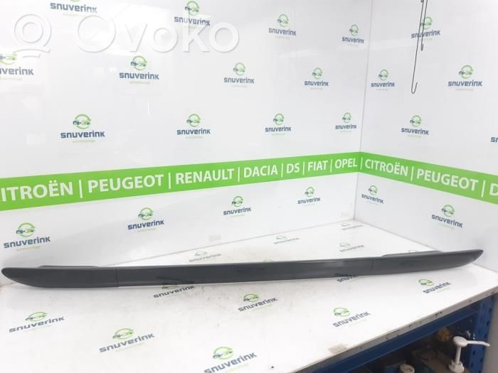 Citroen C4 Cactus Cubierta moldura embellecedora de la barra del techo 
