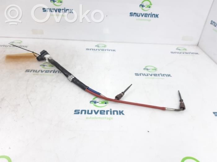 Renault Arkana Exhaust pressure sensor 